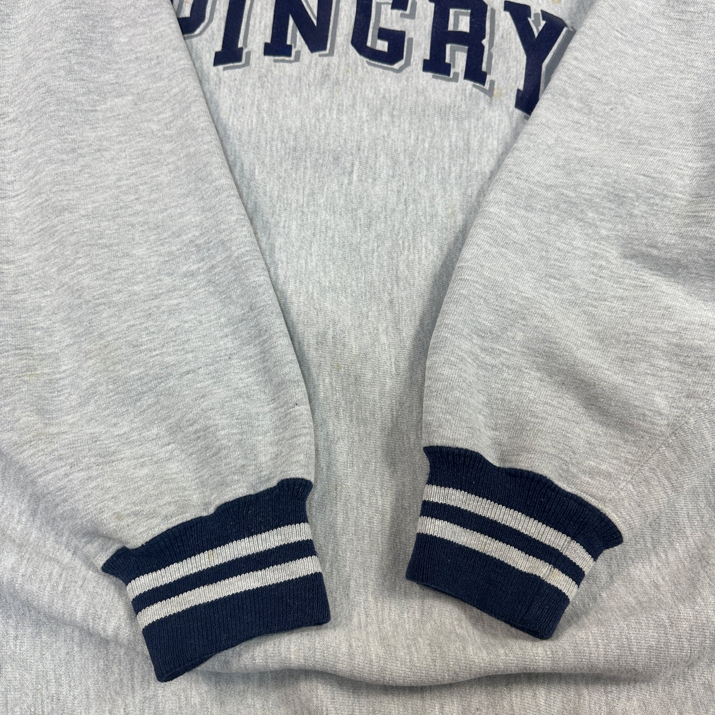 90s チャンピオン リバースウィーブ 2枚タグ ピングリー REVERSE WEAVE Pingry