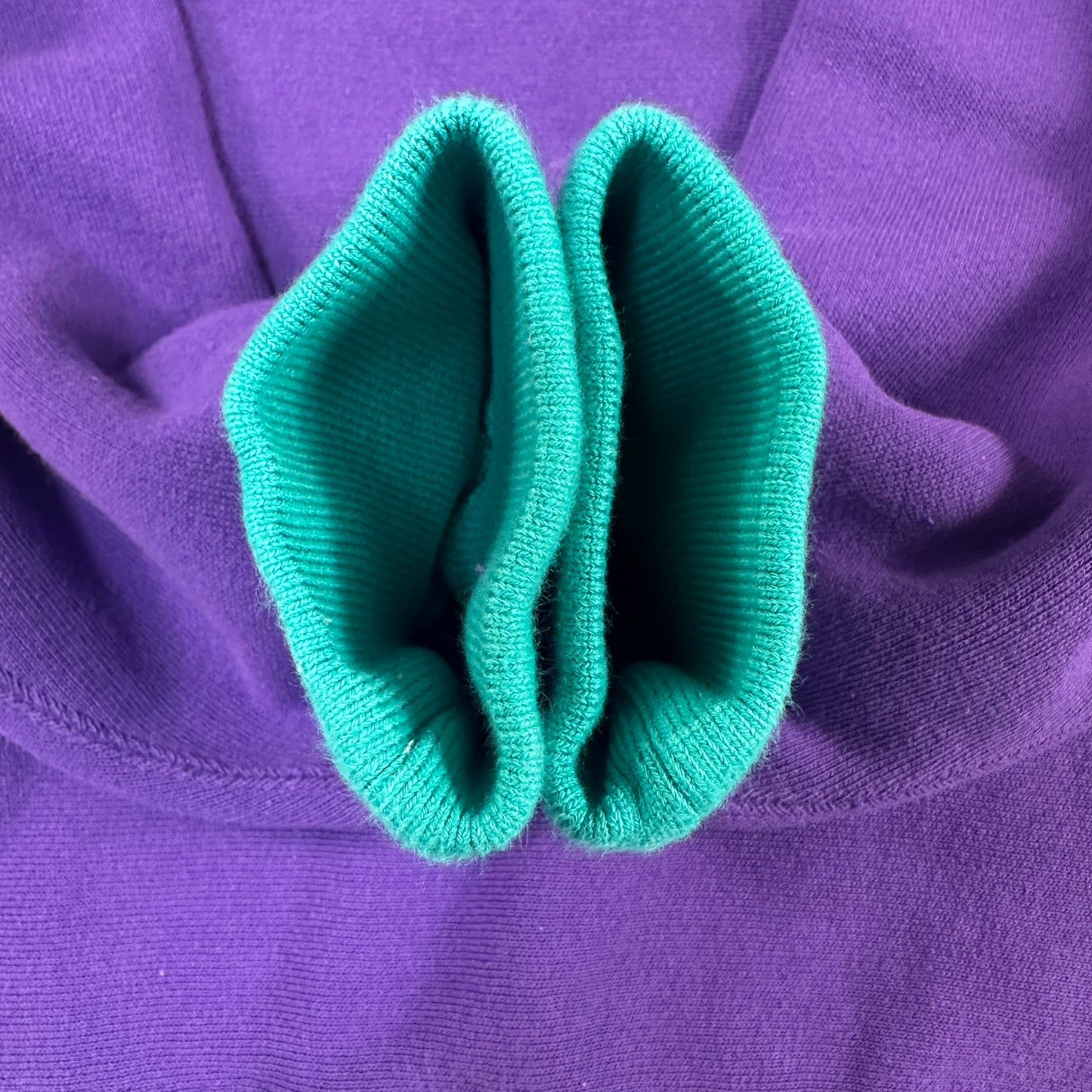 ビームス別注 リバースウィーブ リブライン 日本企画 C8-L038 RN26094 REVERSE WEAVE