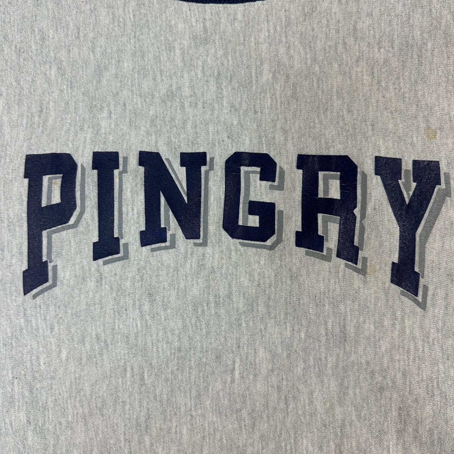 90s チャンピオン リバースウィーブ 2枚タグ ピングリー REVERSE WEAVE Pingry
