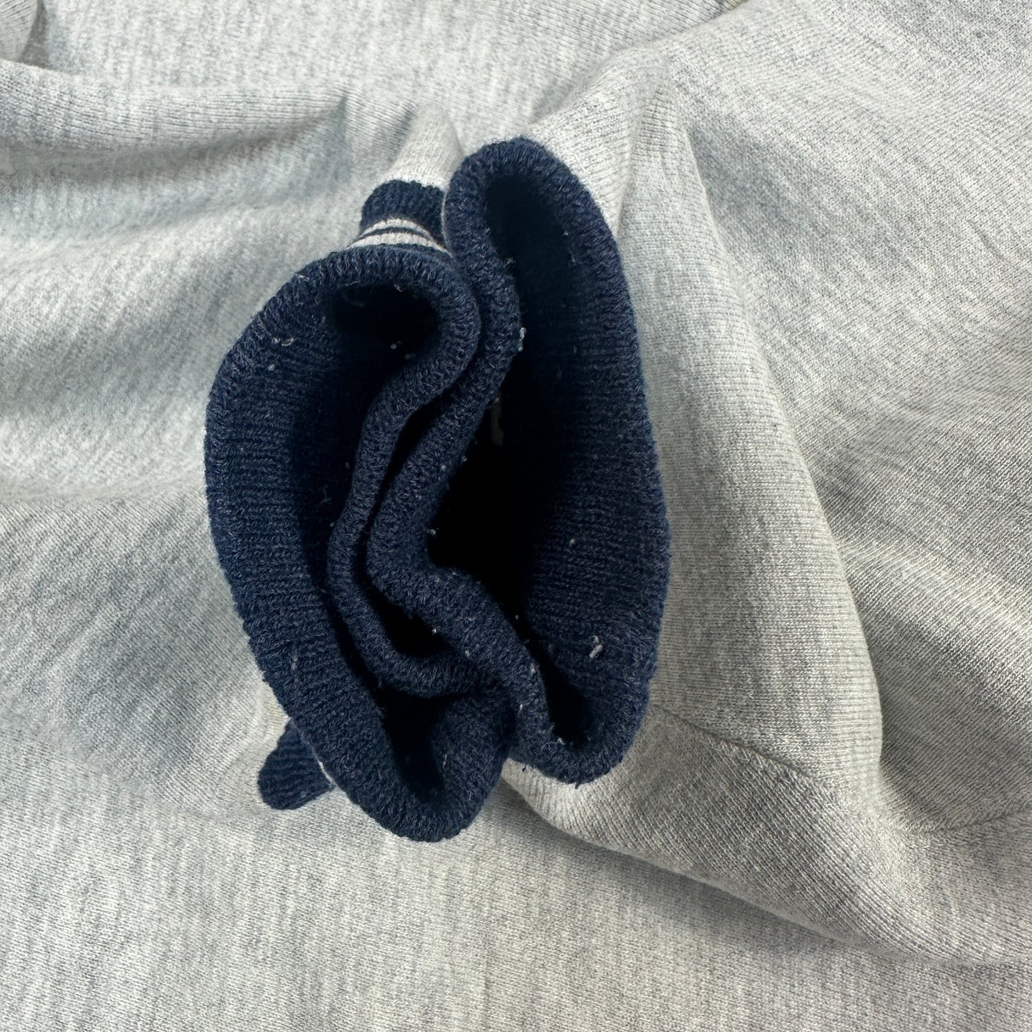 90s チャンピオン リバースウィーブ 2枚タグ ピングリー REVERSE WEAVE Pingry