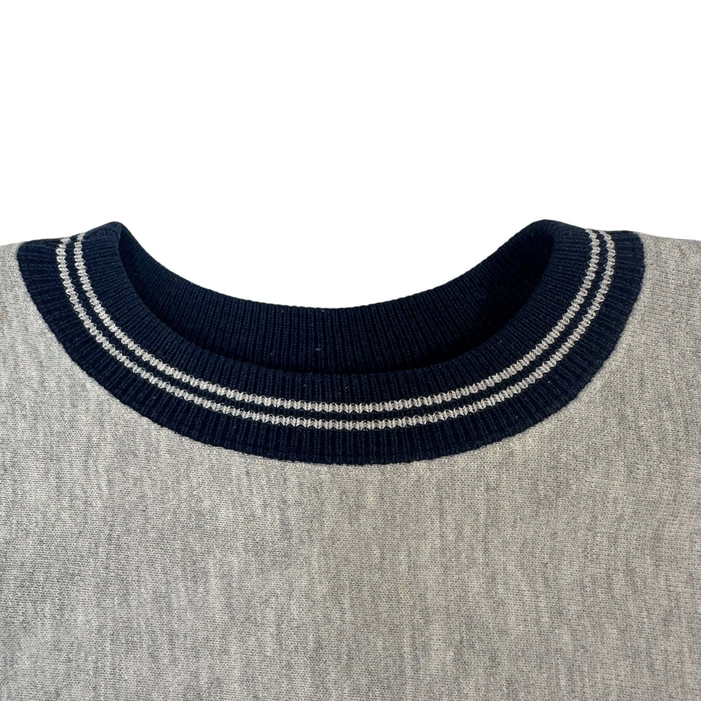 90s チャンピオン リバースウィーブ 2枚タグ ピングリー REVERSE WEAVE Pingry
