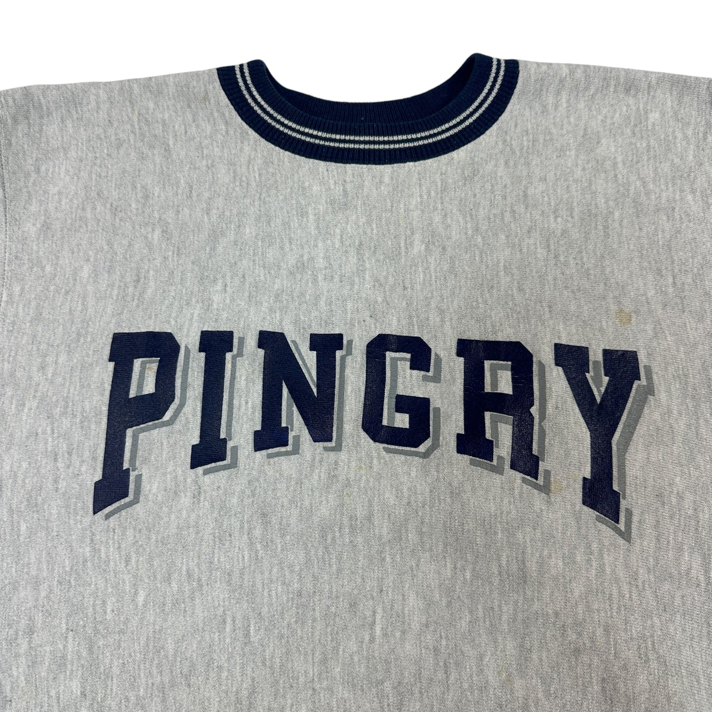90s チャンピオン リバースウィーブ 2枚タグ ピングリー REVERSE WEAVE Pingry