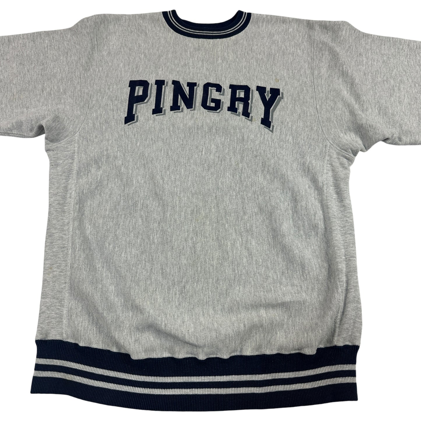 90s チャンピオン リバースウィーブ 2枚タグ ピングリー REVERSE WEAVE Pingry